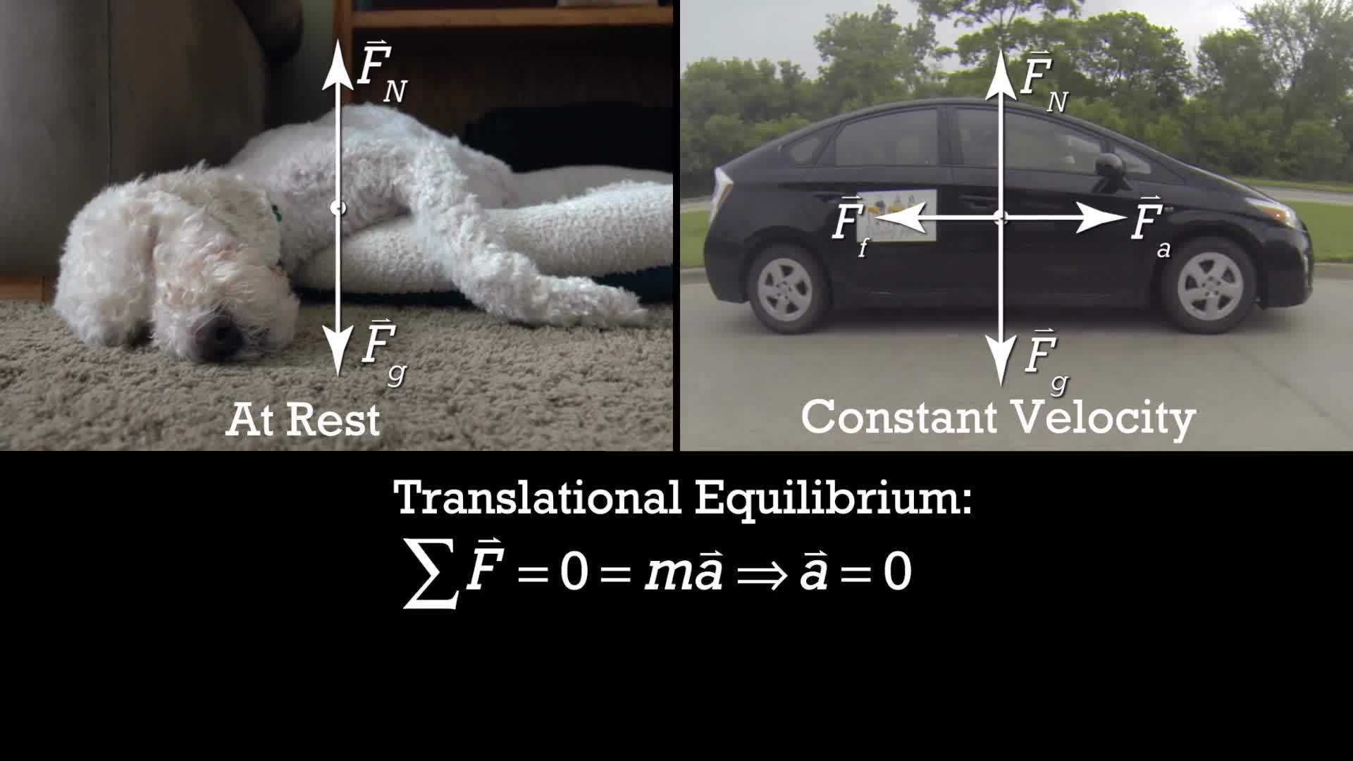 Rotational equilibrium introduction and static equilibrium too